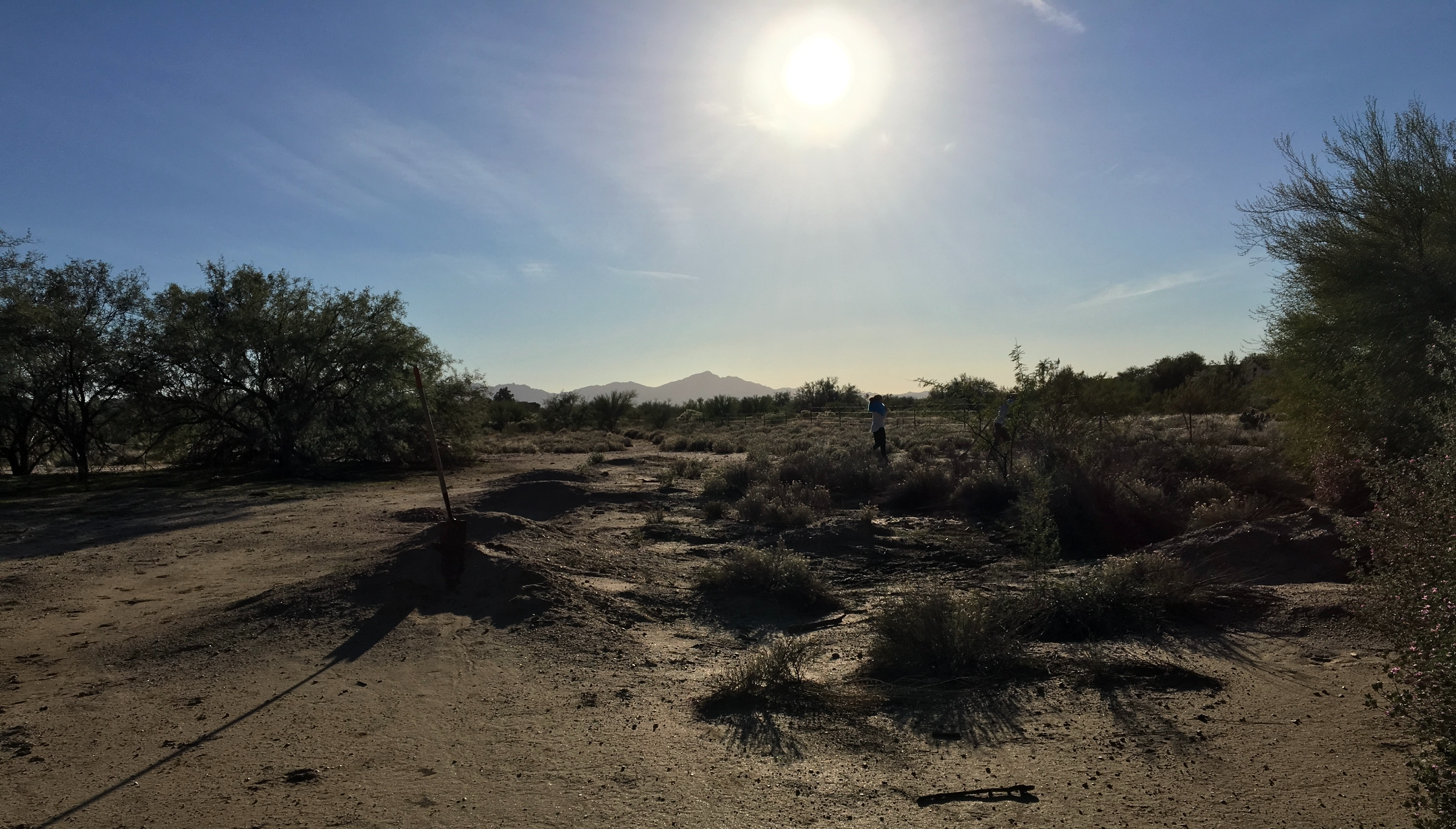 Tucson, AZ Desert